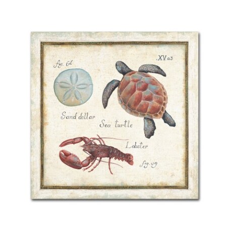 Trademark Fine Art Daphne Brissonnet 'Oceanography II' Canvas Art, 24x24 WAP0045-C2424GG